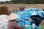 Thực trạng sử dụng, quản lý chất thải túi nilon ở Việt Nam và định hướng giải pháp từ góc độ kinh tế