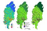Ứng dụng ảnh viễn thám đánh giá động thái đất và suy thoái đất vùng đồi núi miền Bắc Việt Nam