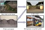 Thực trạng xử lý nước rác và định hướng công nghệ xử lý nước rác phù hợp với điều kiện Việt Nam